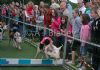 Pig Racing at cushendun